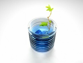 Ikebana Wallpaper