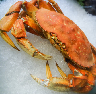 The Ultimate Guide To Cooking Dungeness Crab Recipes Tips And Wallpaper