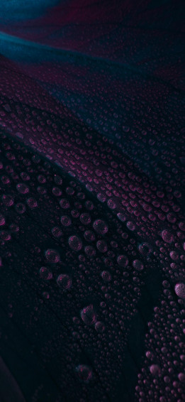 Wallpaper