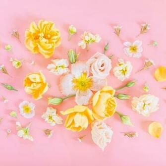 Digital Blooms August Desktop Wallpaper Justinecelina