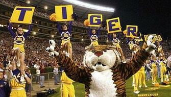 Lsu S Live Tiger Mascot Mike Vi Lsusports Net The Official Web