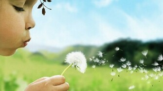 Geni Ekran Karahindiba Taraxacum I Ek HD Masa St Duvar