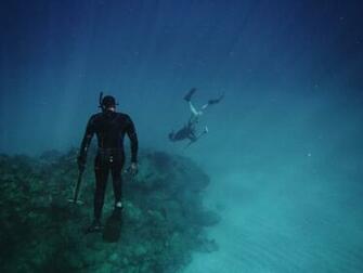 Underwater Swimmer Pictures Image