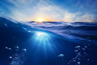 Sea Water Underwater World Nature Wallpaper Background