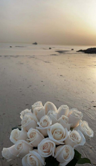Rose Aesthetic Background Wallpaper