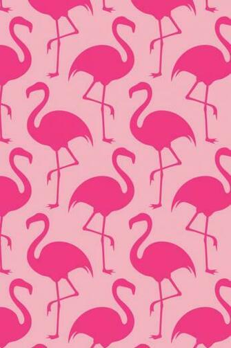 Flamingo Wallpaper Sf