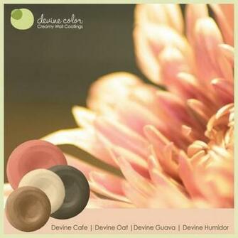Devine Color Devinecolor On