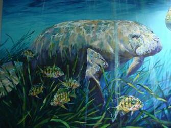 Pc Manatee Wallpaper In Best Collection