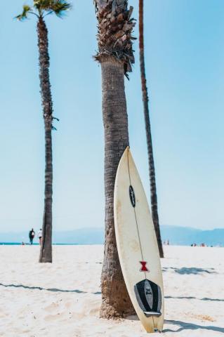Surfboard Pictures Hq Image