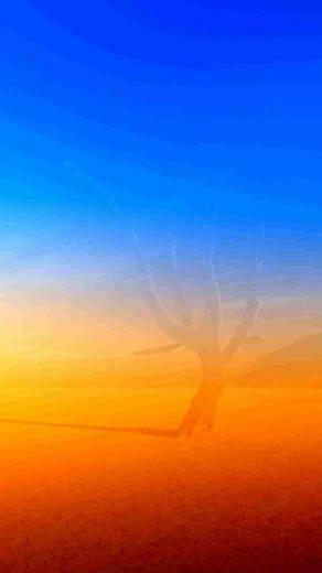 Lg G3 Wallpaper HD Shy Android