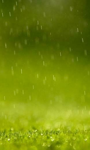 Phone Wallpaper Hintergrundbild Smartphones Mit Windows