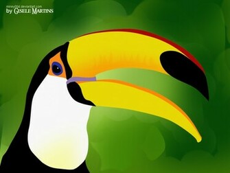 Toucan HD Wallpaper