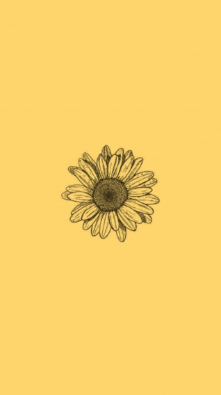 iPhone Aesthetic Sunflower Wallpaper