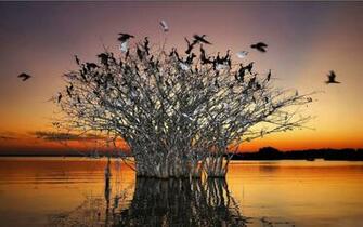 Beautiful Latst HD Wallpaper For Mobile