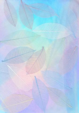 Pastel Wallpaper HD Hq