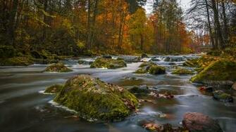 Colors Of Autumn Wallpaper For Desktop 4k X