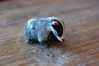 HD Wallpaper Badger