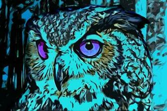 Abstract Owl Wallpaper I Made Fc08 Deviantart Net