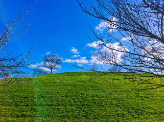 Claudio Chiriatti On X Spotted Today Vacation Windows Xp