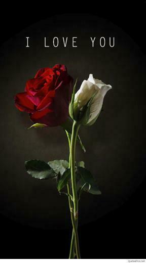 Love Picture Wallpaper