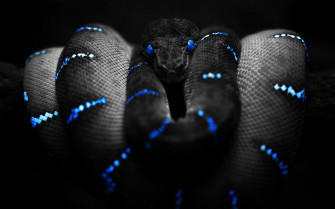 Black Wallpaper HD