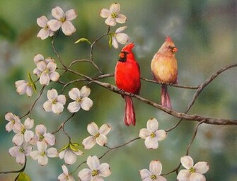 Query Spring Birds And Flowers Cherry Blossom Tattoo Cardinal Bird