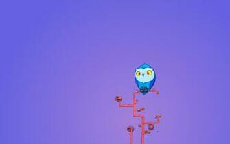 Owl Wallpaper Colorful HD Desktop
