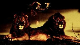 Bob Marley HD Wallpaper