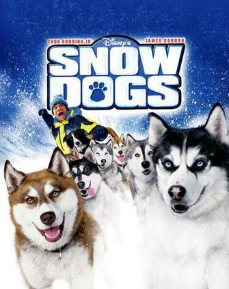 In Snow Countries I Think They Serve As Working Dogs Don T Know If