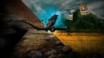 Black Crow Wallpaper