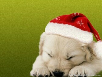 Operationalerror At Wallpaper Puppy Christmas Html