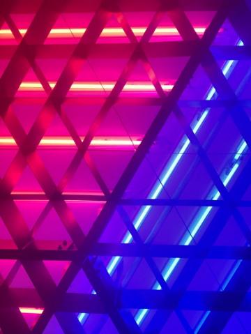 Pink And Blue Neon Pictures Image