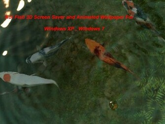Koi Fish 3d Screen Saver And Animated Wallpaper For You This Is A