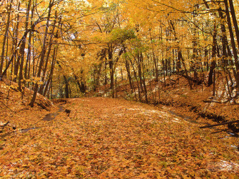 X Autumn Ezu2eg7bkaph8bqj Wallpaper