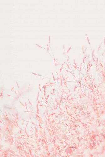 Find The Beauty In Details Wallpaper