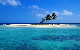 Ocean Beach Trees Sea Animals Windows Xp Skyscapes Wallpaper