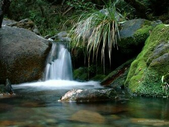 Return To The Virtual Bay Nature Wallpaper Gallery