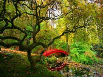 HD Wallpaper Nature Scenes Pixel
