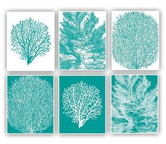 Displaying Gallery Image For Teal And Coral Background