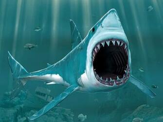 They Are One Of The Most Amazing Animals On Earth Sharks Provided