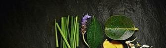 Gift Cards Spa Bleu