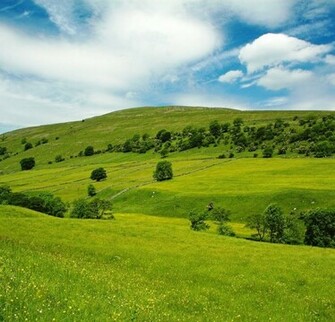 Nature High Definition Wallpaper