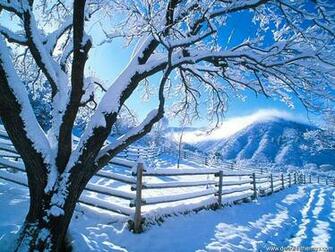 Crisp Winter Day Wallpaper Christmas Photography Desktop