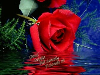 Good Night Love U Wallpaper