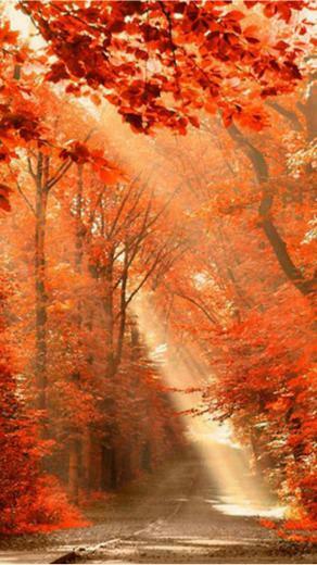 Beautiful Nature iPhone Wallpaper Cool