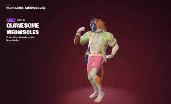 When Will Purradise Meowscles Be Released In Fortnite Vova Edu Vn