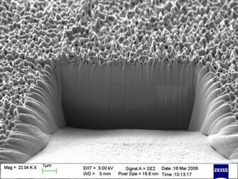 Liquid Metal Ion Sources Lmis