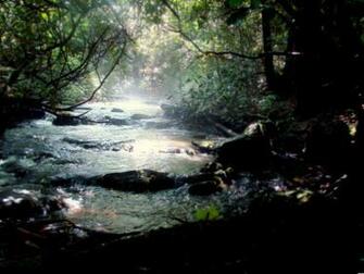 Very Nice Mountain River Wallpaper