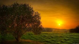 Landscape Wallpaper HD Widescreen Desktop