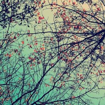 iPad Retina Wallpaper HD Ready Stunning